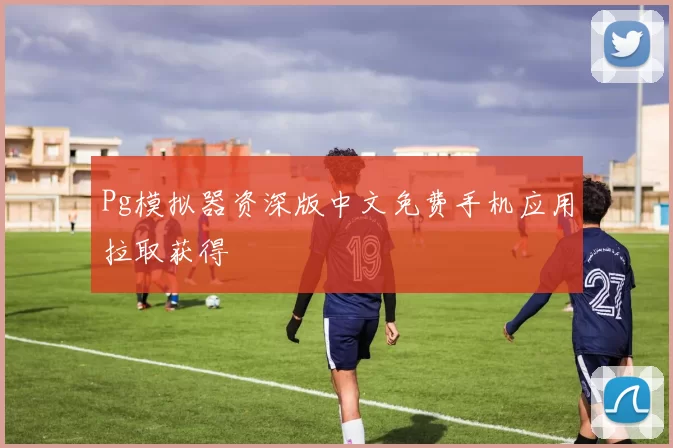 Pg模拟器资深版中文免费手机应用拉取获得