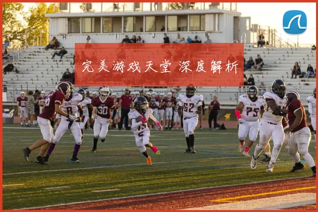 完美游戏天堂 深度解析