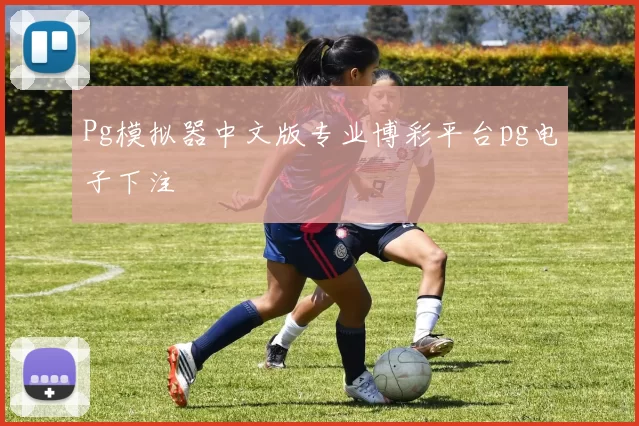Pg模拟器中文版专业博彩平台pg电子下注