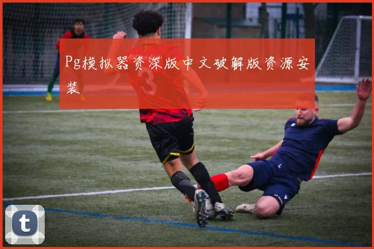 Pg模拟器资深版中文破解版资源安装