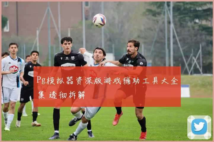 Pg模拟器资深版游戏辅助工具大全集 透彻拆解