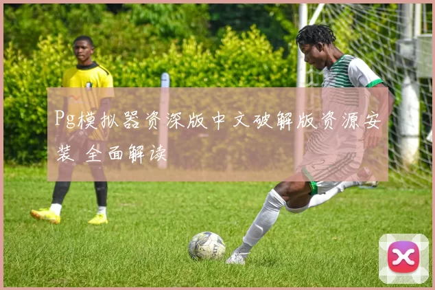 Pg模拟器资深版中文破解版资源安装 全面解读