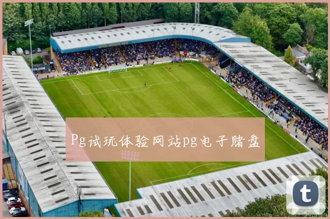 Pg试玩体验网站pg电子赌盘