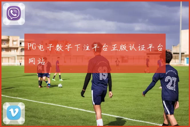 PG电子数字下注平台正版认证平台网站