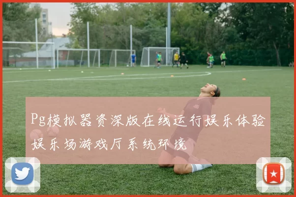 Pg模拟器资深版在线运行娱乐体验娱乐场游戏厅系统环境