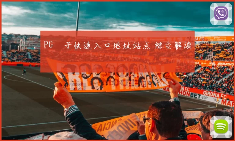 PG電子快速入口地址站点 综合解读
