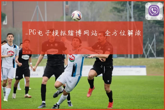 _PG电子模拟赌博网站_ 全方位解读