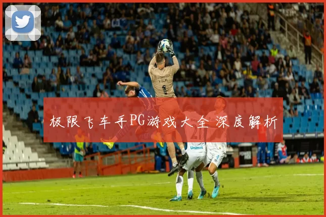 极限飞车手PG游戏大全 深度解析