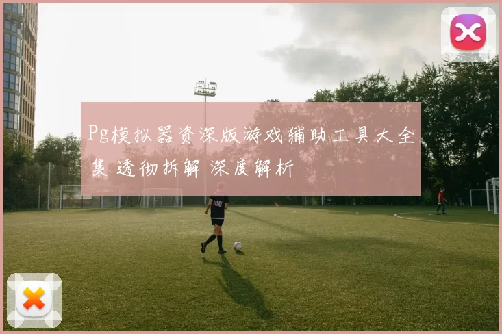 Pg模拟器资深版游戏辅助工具大全集 透彻拆解 深度解析